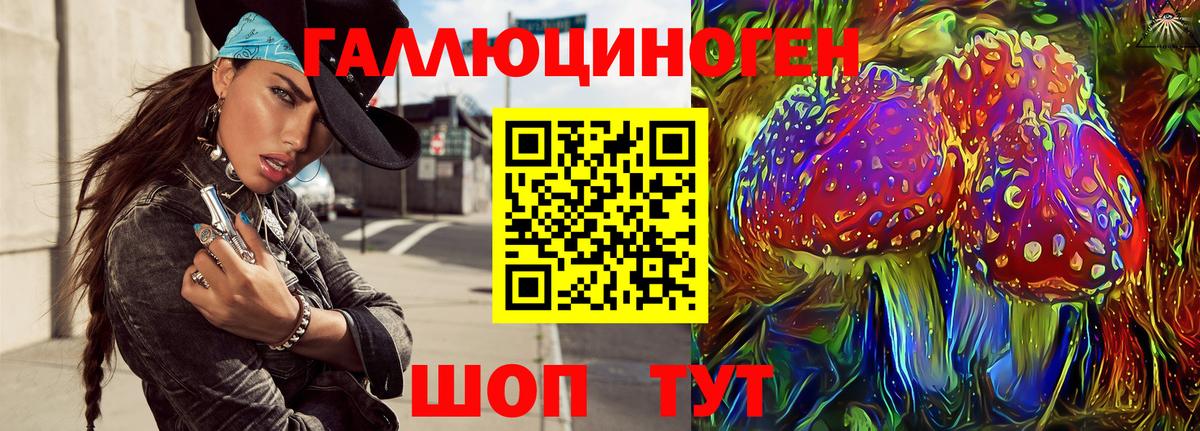 Галлюциногенные грибы Psilocybe Рубцовск