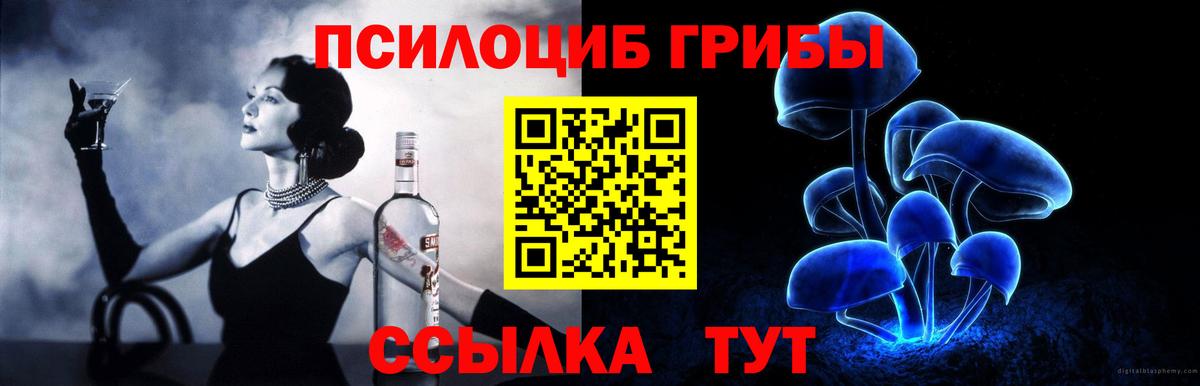 Рубцовск  купить наркотики цена  Вход с VPN  Псилоцибиновые грибы Psilocybine cubensis 